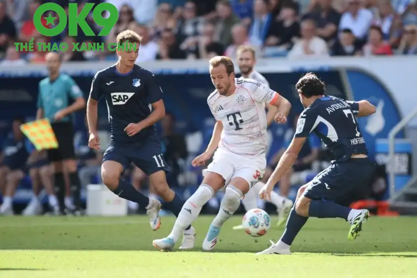 Harry Kane vẫn đang là đầu tàu của ĐKVĐ Bundesliga (Ảnh: BILD) Harry Kane vẫn đang là đầu tàu của ĐKVĐ Bundesliga